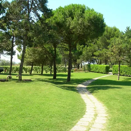 Quasar * Bibione